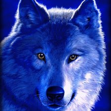 Схема вышивки «волк»