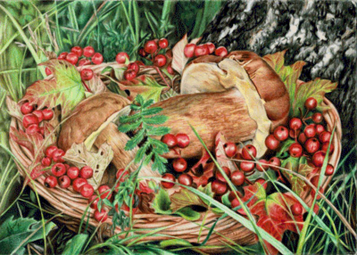 грибы в лукошке - лес, грибы, лукошко - предпросмотр