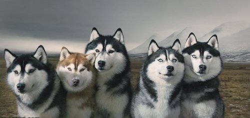 №2066112 - оригинал