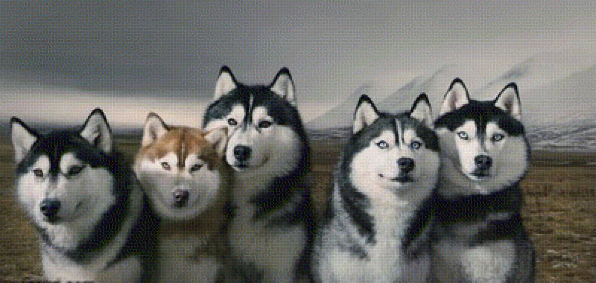 №2066112 - предпросмотр