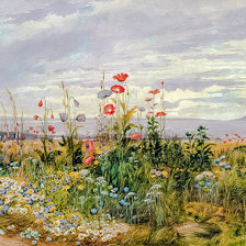 Схема вышивки «Wildflowers with a View of Dublin Dunleary.»
