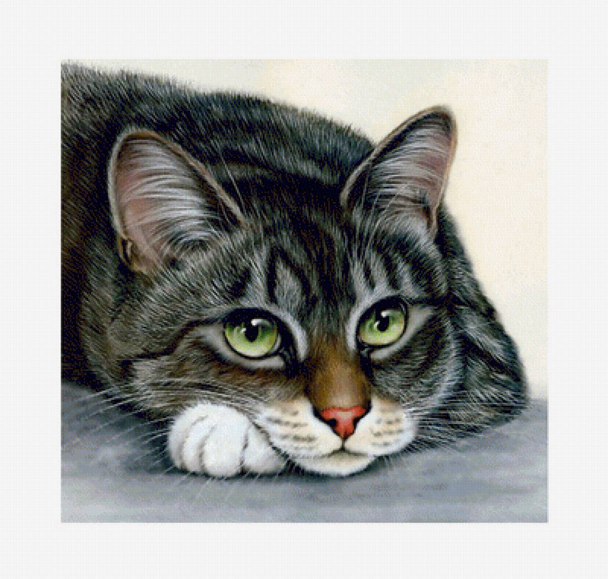 Кошка. - кошка. - предпросмотр