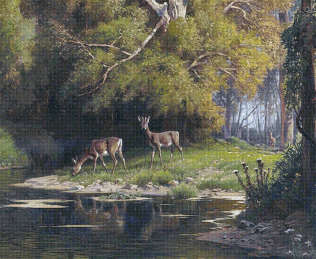 Олени у лесного ручья - лето, олени, ручей, лес - предпросмотр