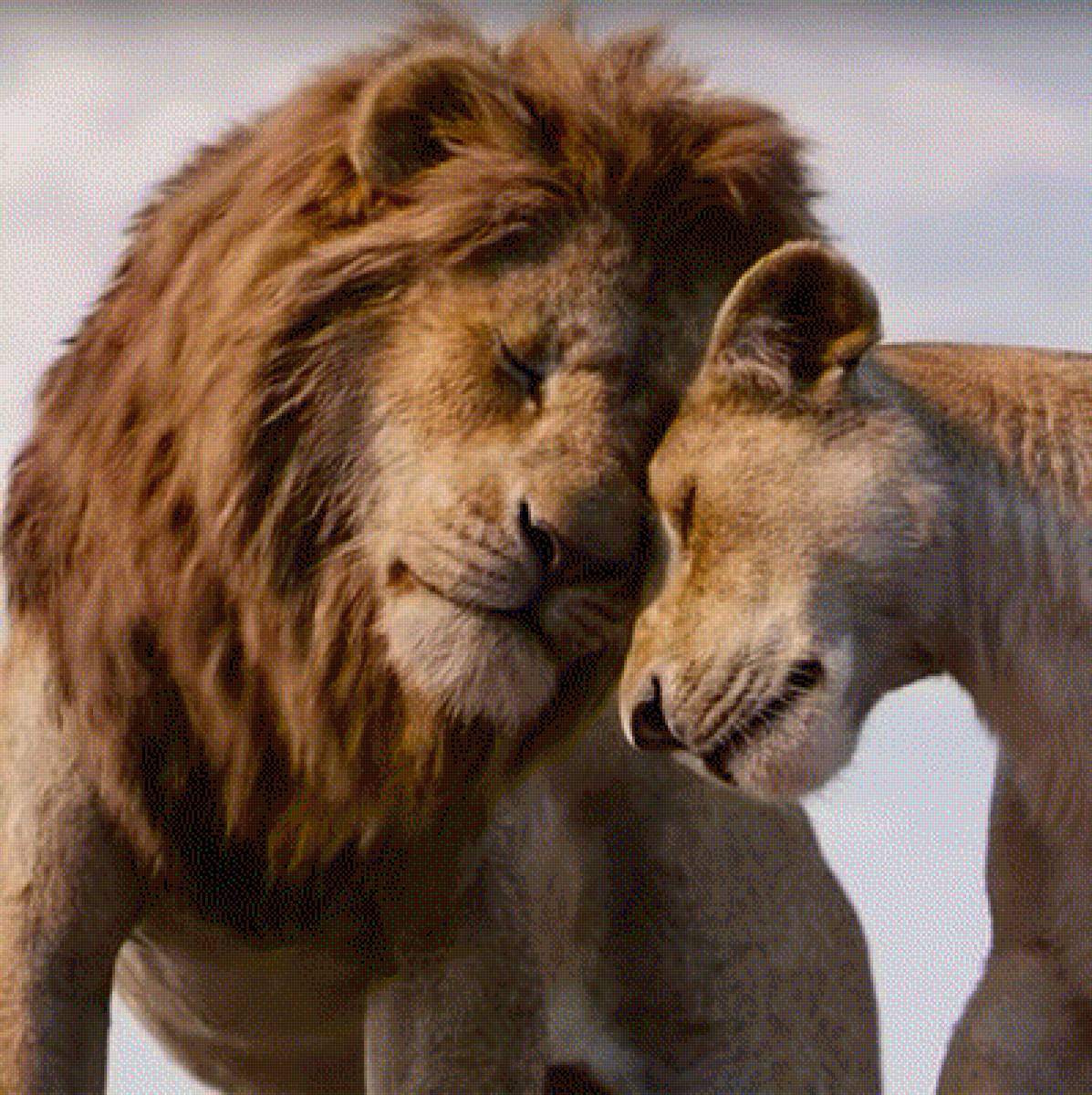 №2066232 - предпросмотр