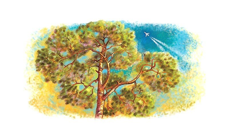 №2066259 - оригинал