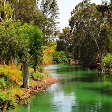 Схема вышивки «№2066389»