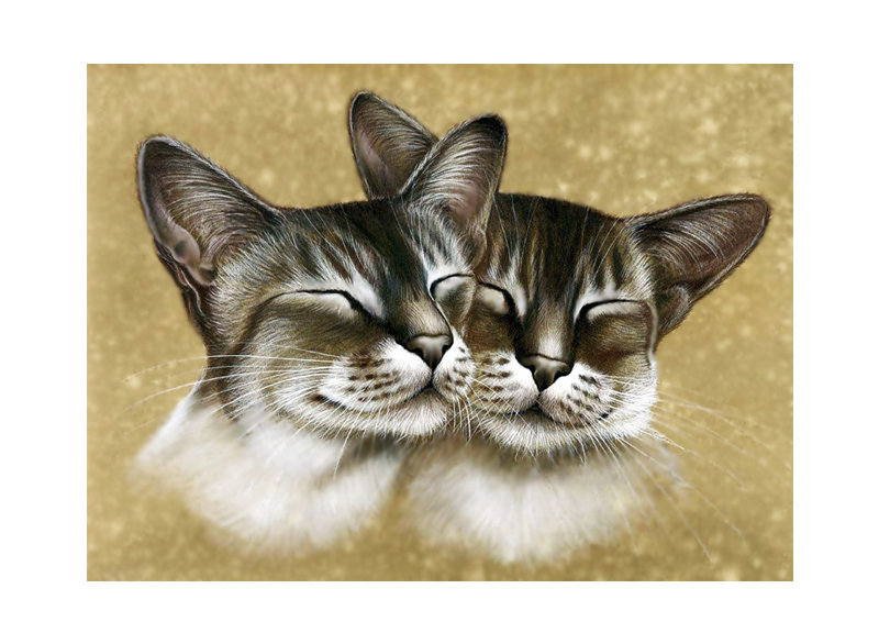 Коты. - живопись. - оригинал