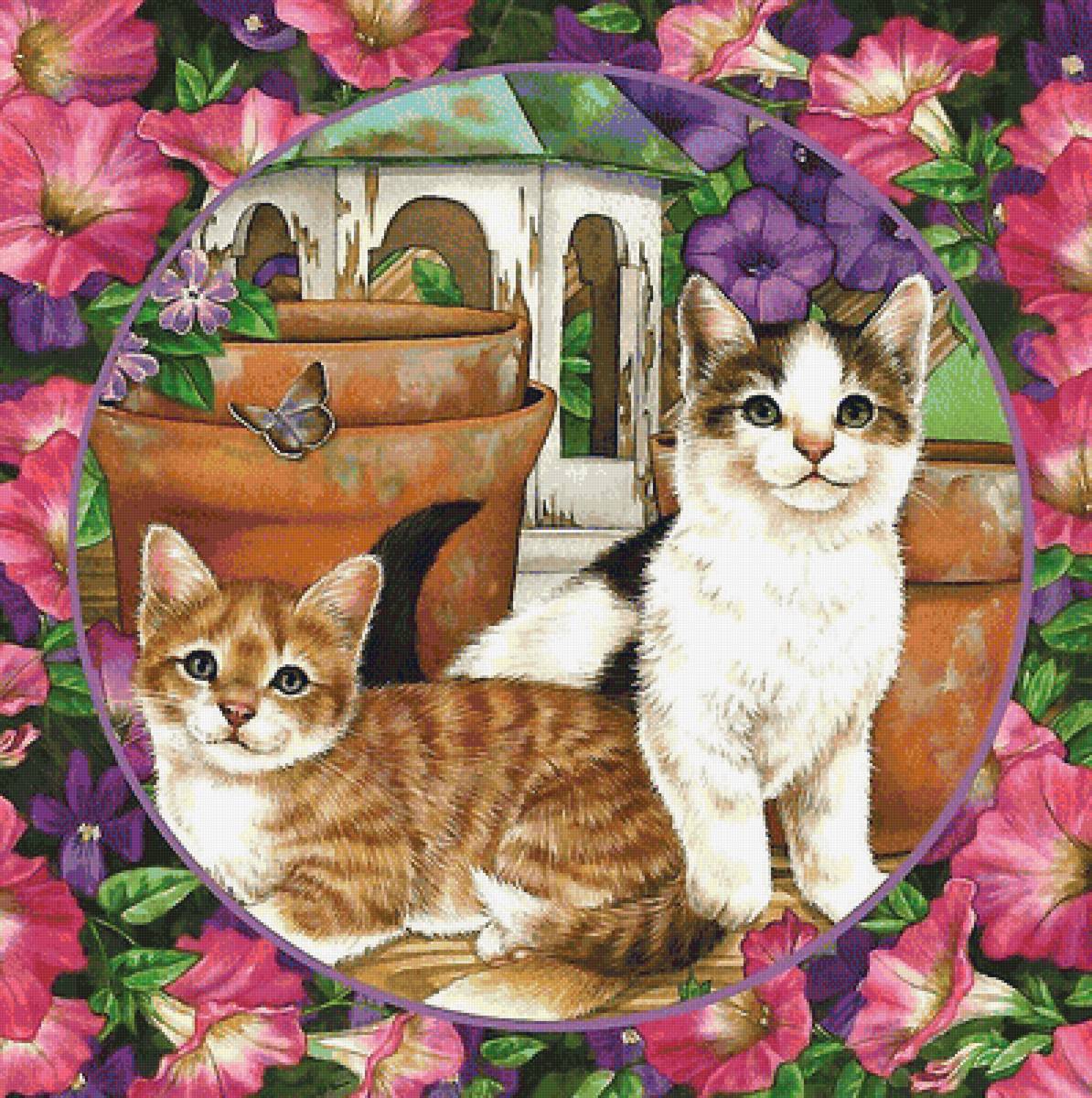 котики в цветах - цветы, котята, петунья - предпросмотр