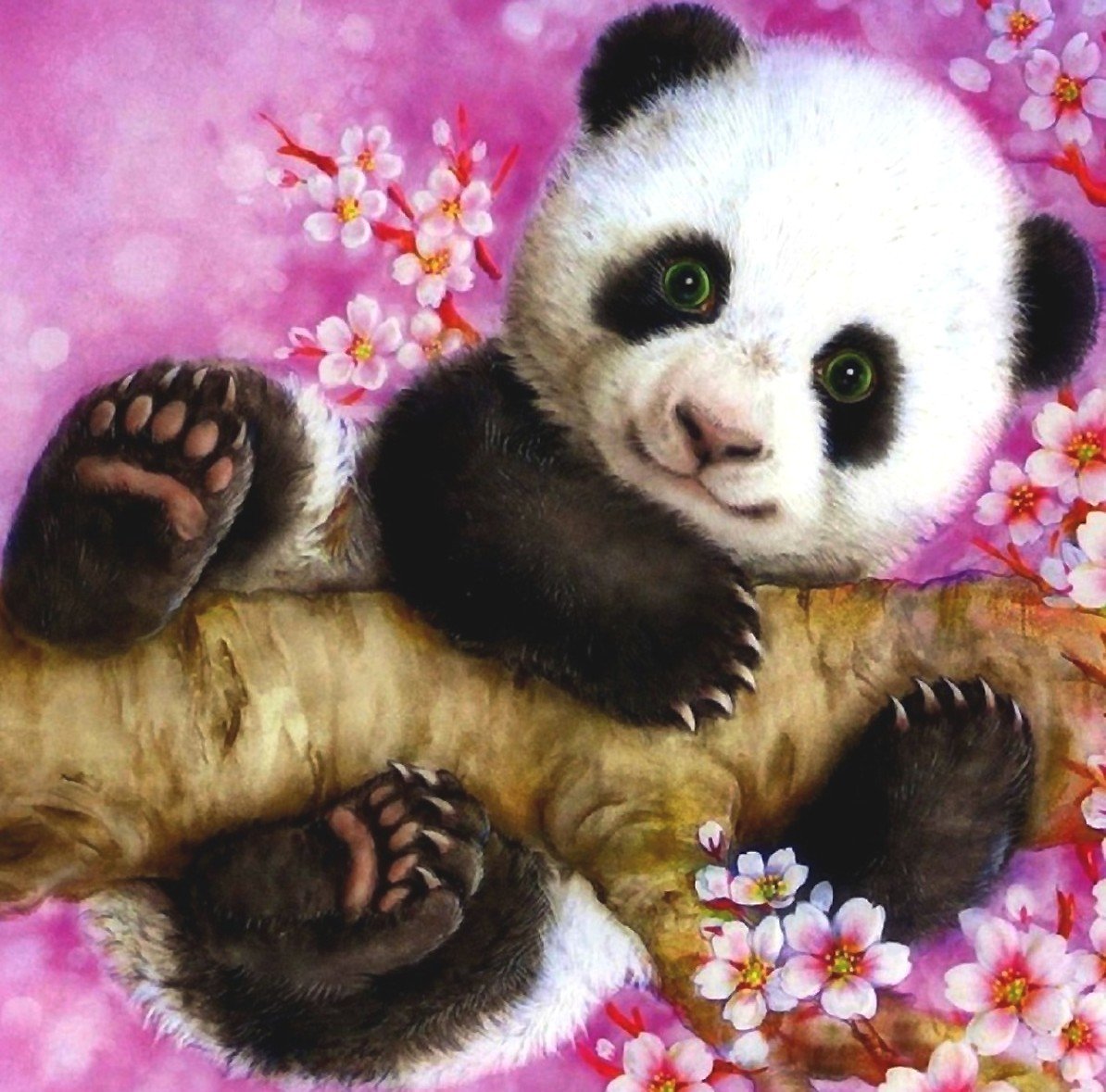 панда - сакура, панда - оригинал
