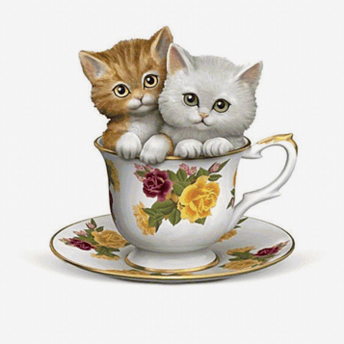 котята в чашке - чайная пара, котята - предпросмотр