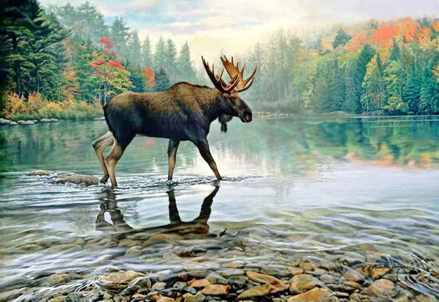 Лось - оригинал