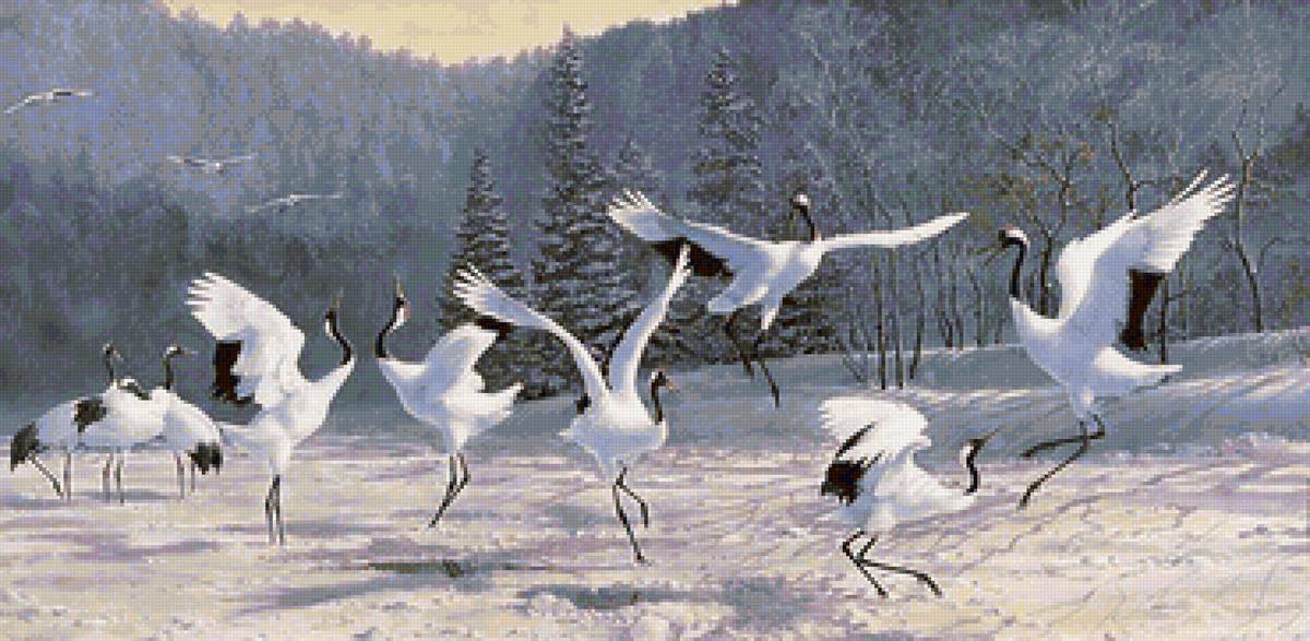 Журавлиные танцы - журавли, зима, птицы - предпросмотр