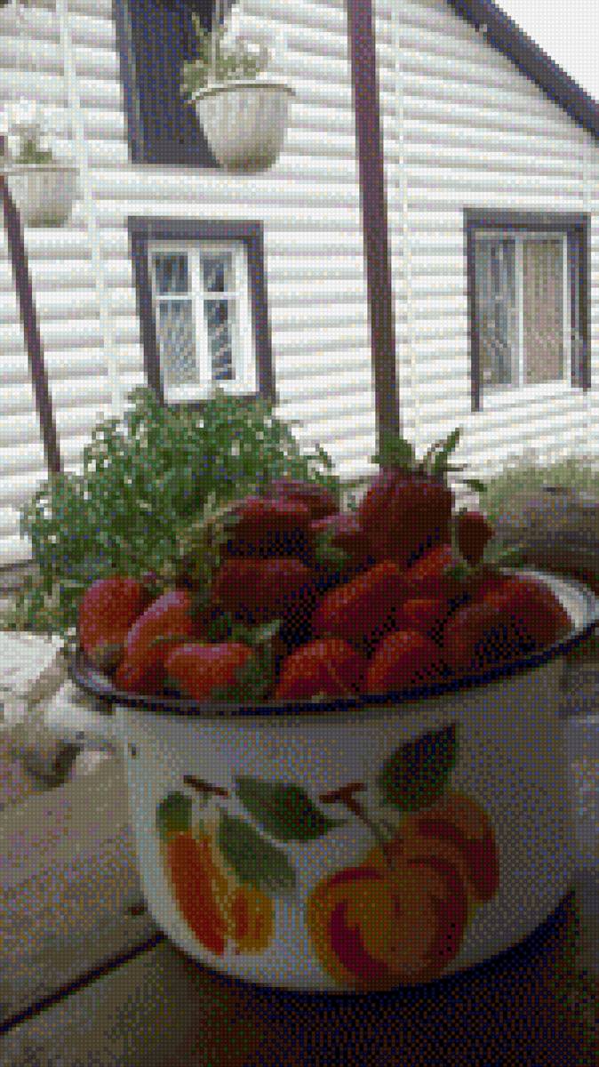 Клубника на даче - предпросмотр