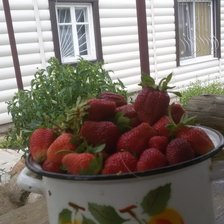 Клубника на даче