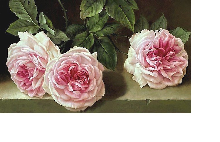 346х204 - оригинал