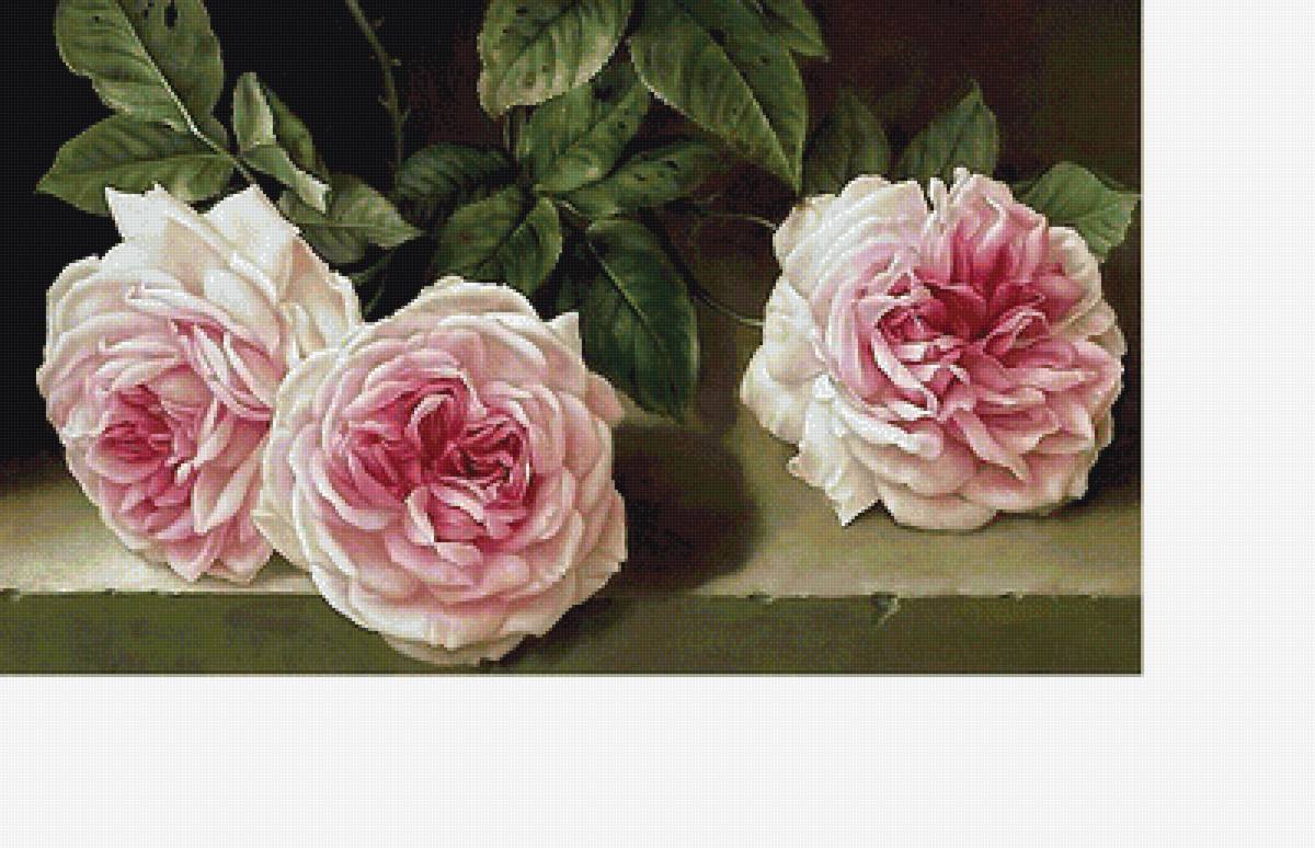 346х204 - предпросмотр