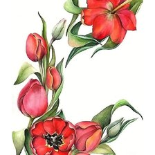 Схема вышивки «тюльпаны»