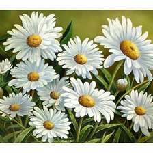 Схема вышивки «Ромашки.»