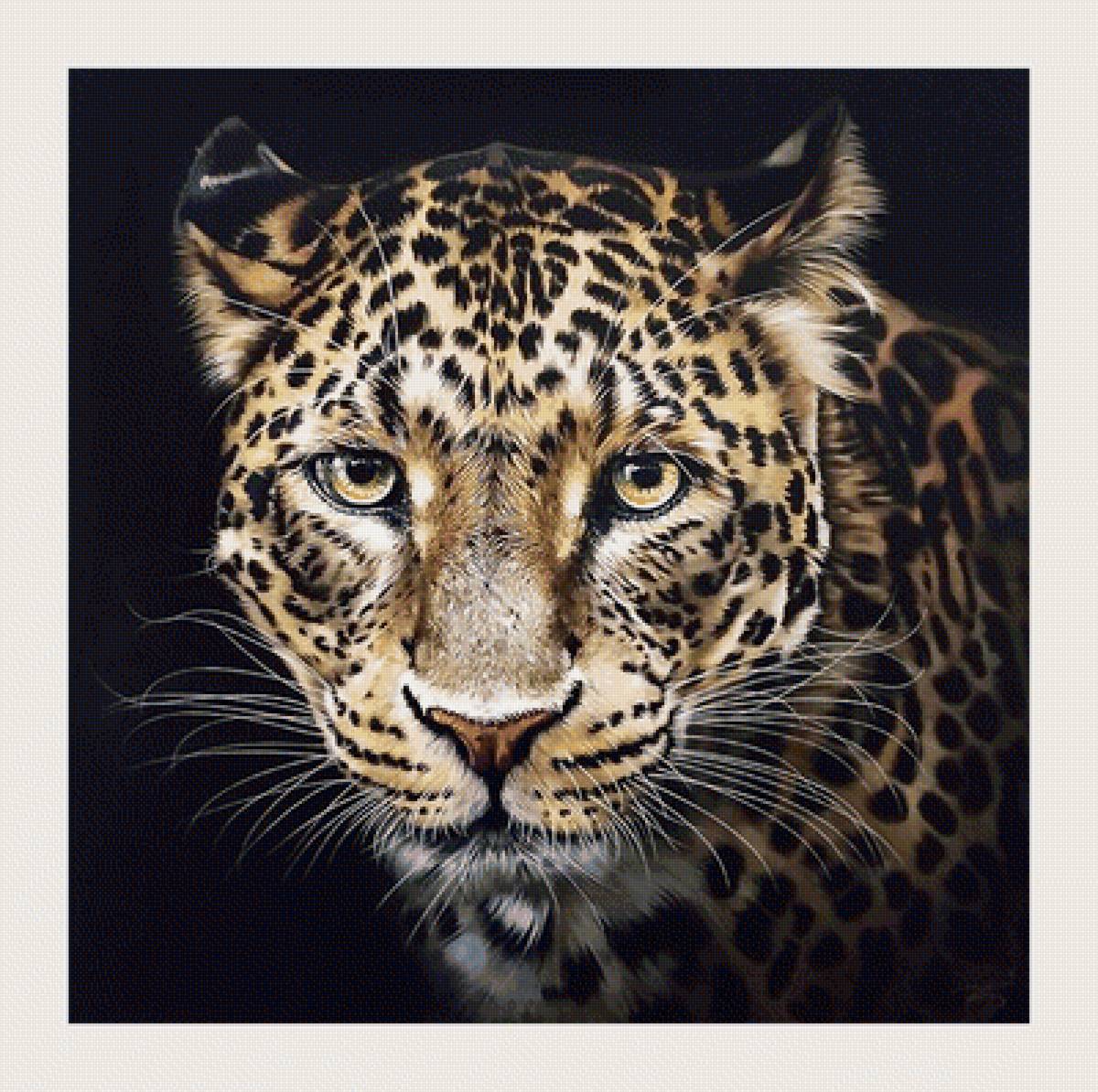 №2068069 - хищники, животные - предпросмотр