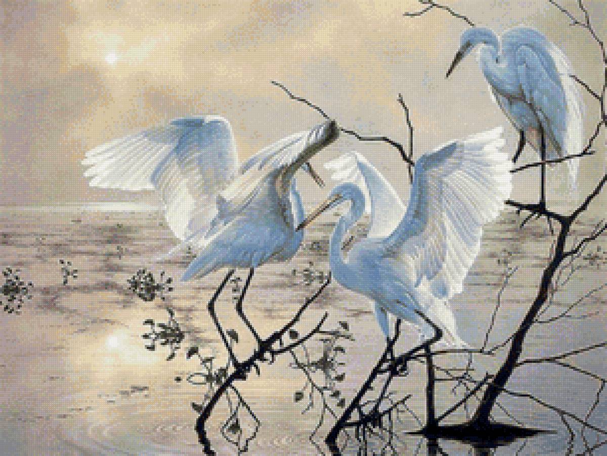 Худ. Бен Массенбург - болото, птицы, цапли - предпросмотр