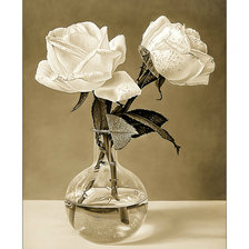 Схема вышивки «Две белые розы.»