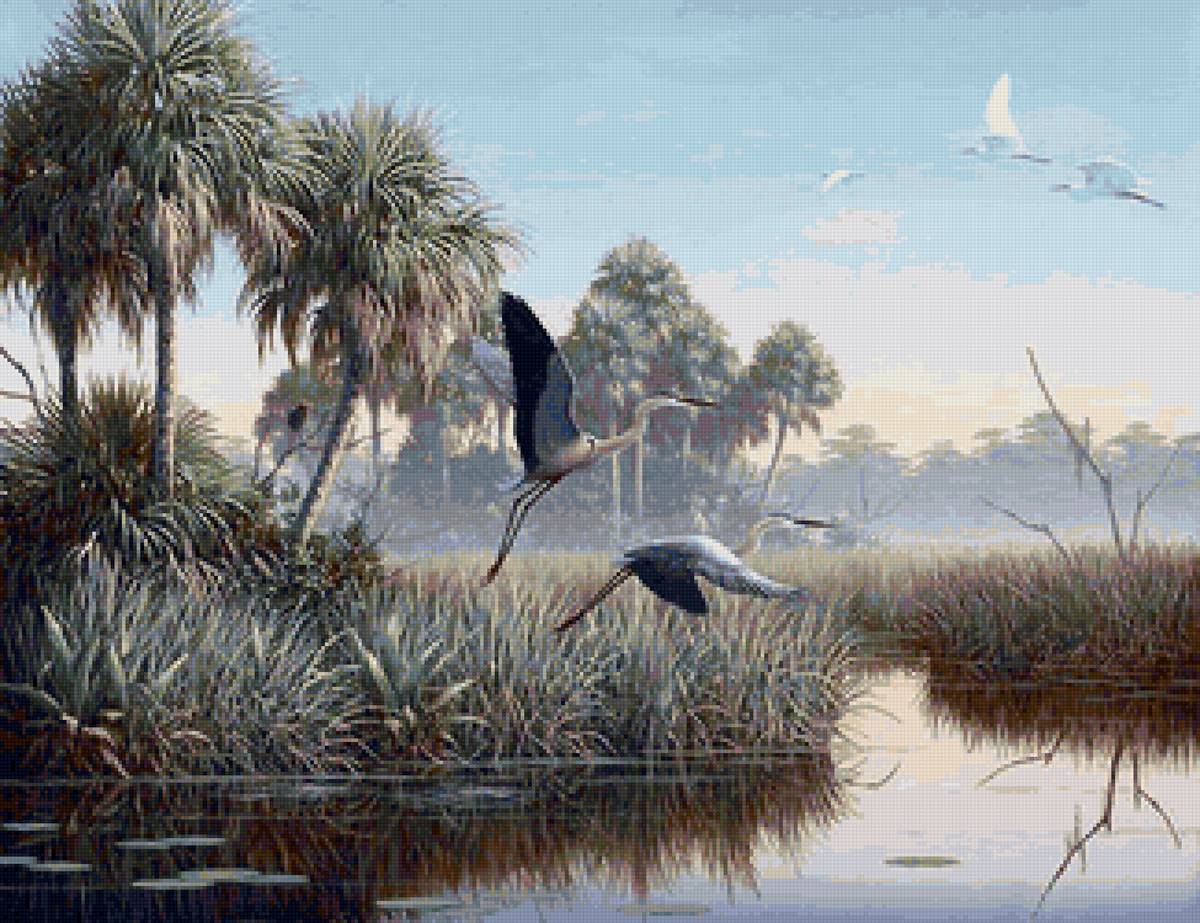 Худ. Бен Массенбуррг Цапли в полете - болото, птицы, цапли, пейзаж - предпросмотр