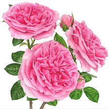 Схема вышивки «№2068171»