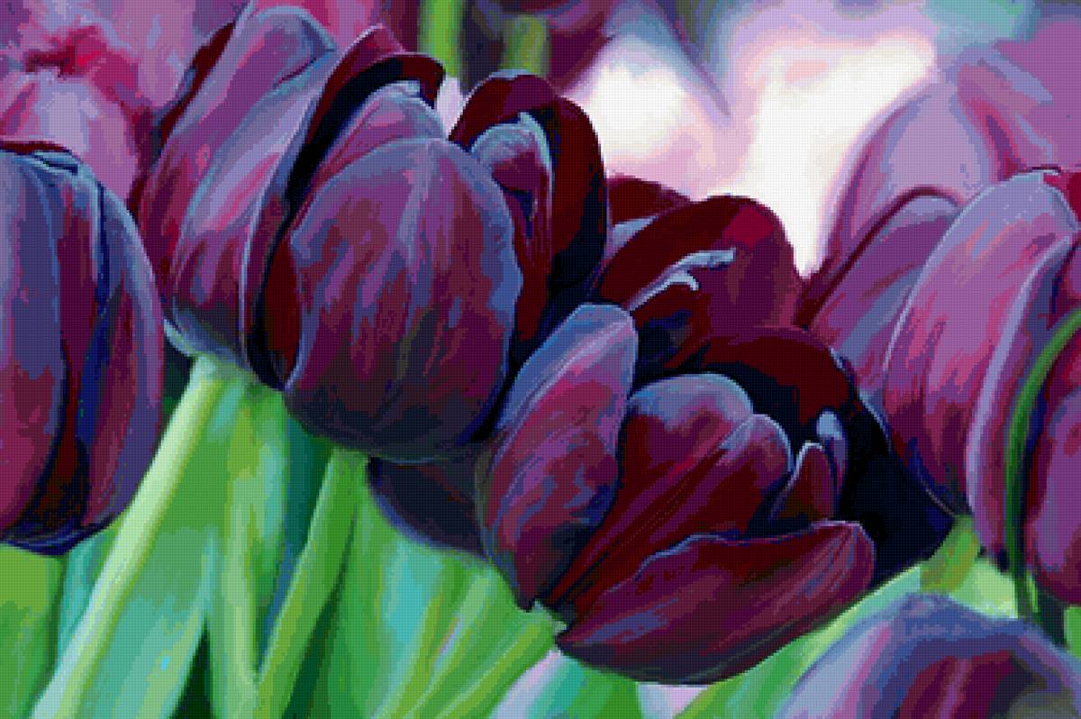 фиолетовые тюльпаны - цветы, фиолетовые тюльпаны - предпросмотр