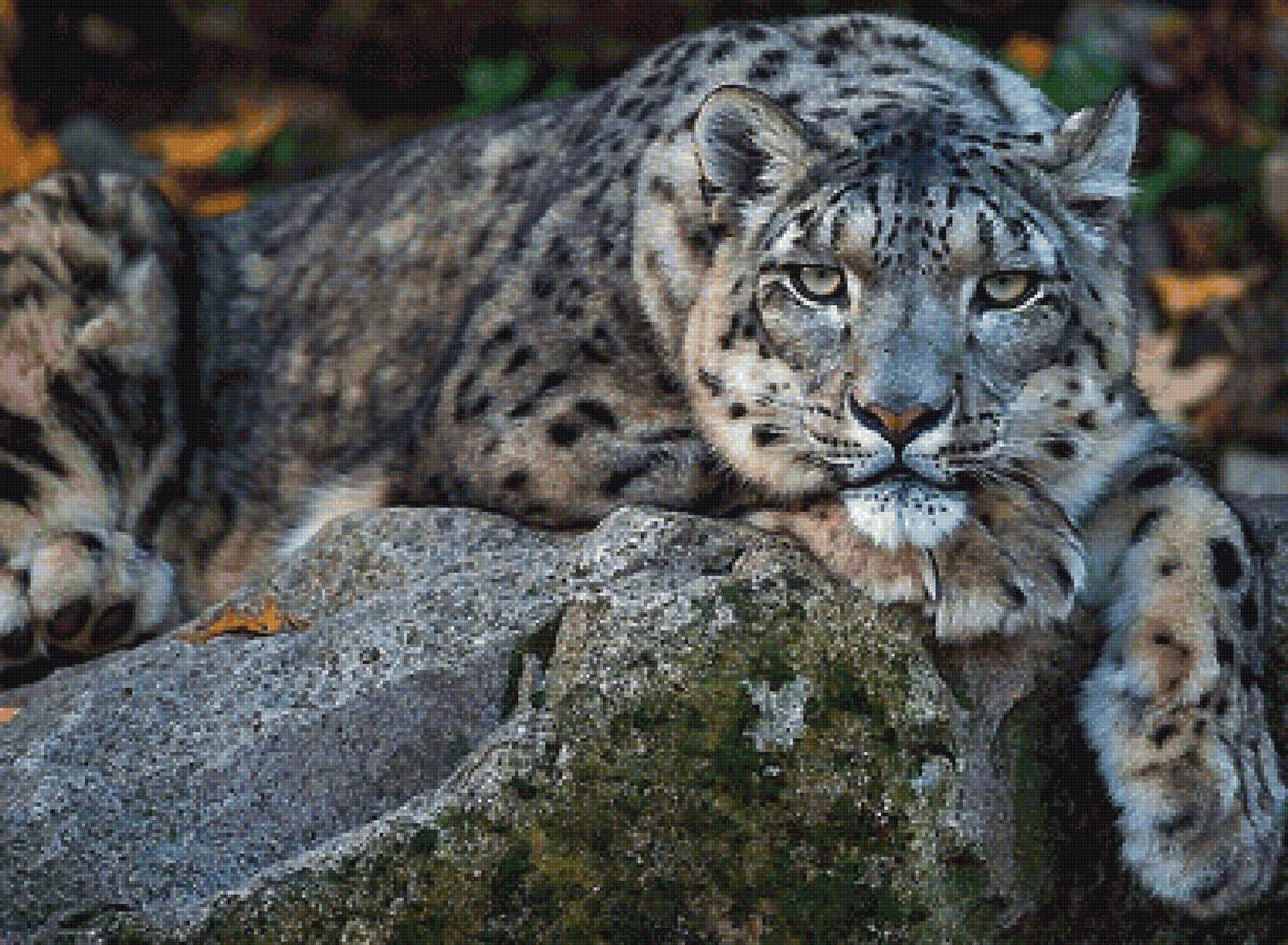 №2068677 - предпросмотр