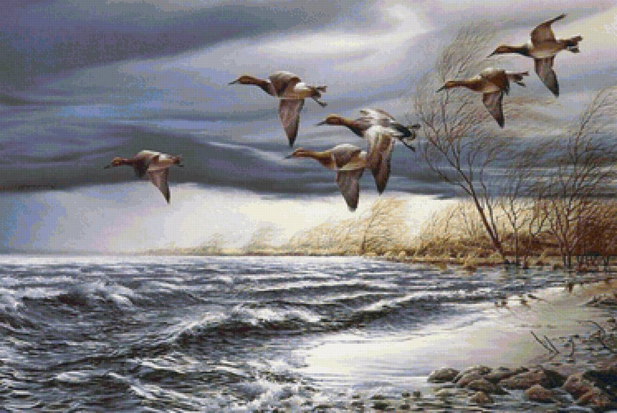 Худ.Терри Редлин. - птицы, море, утки, ветер - предпросмотр