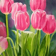 Схема вышивки «тюлпаны»