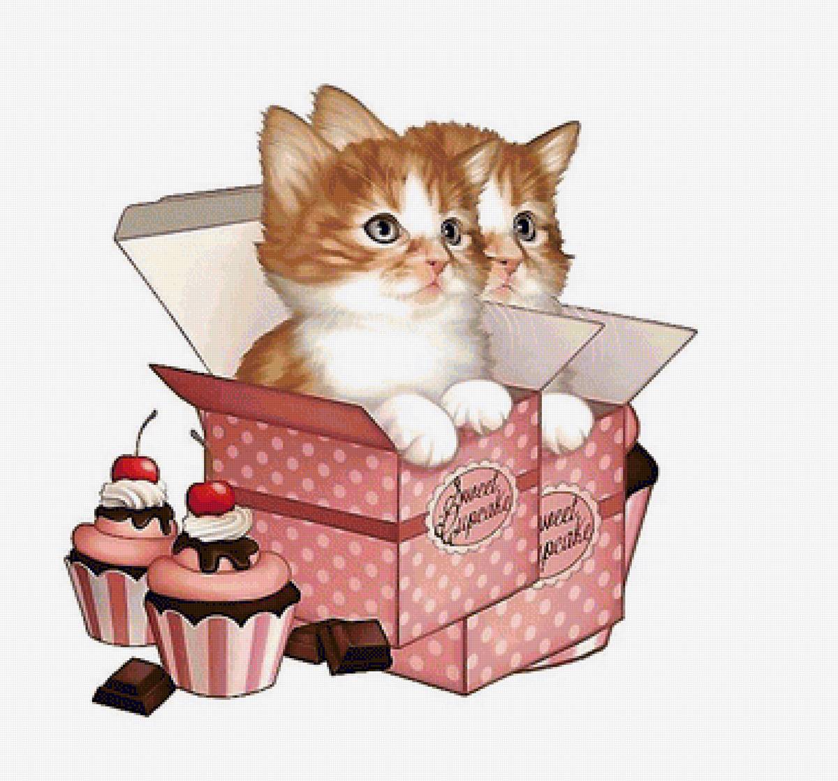 котята - коробки, сладости, котята - предпросмотр