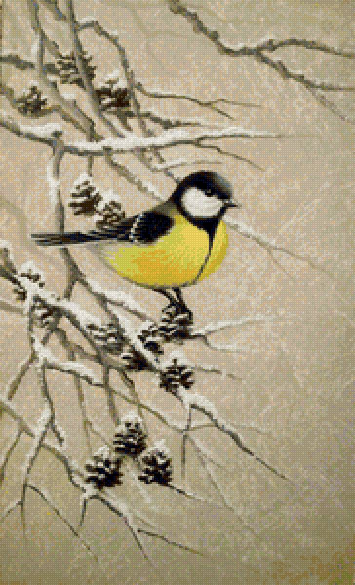 Зима. Синичка - синичка, ветки, птицы, зима - предпросмотр