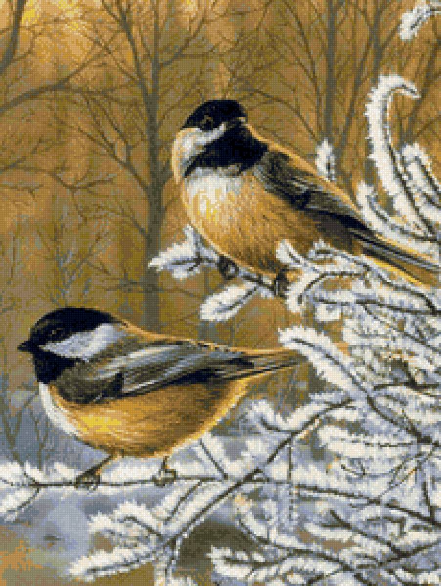 Птички в лесу зимой - синички, зима, птички - предпросмотр