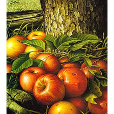 Оригинал схемы вышивки «Яблочки.» (№2069226)