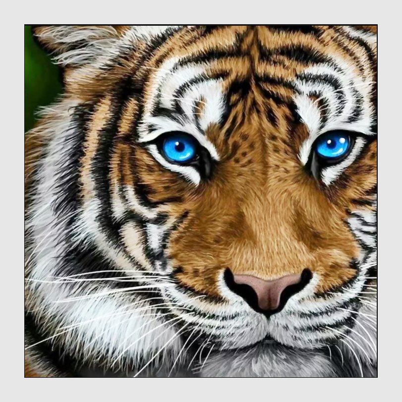 №2069291 - тигр, тигры, хищники, животные - оригинал