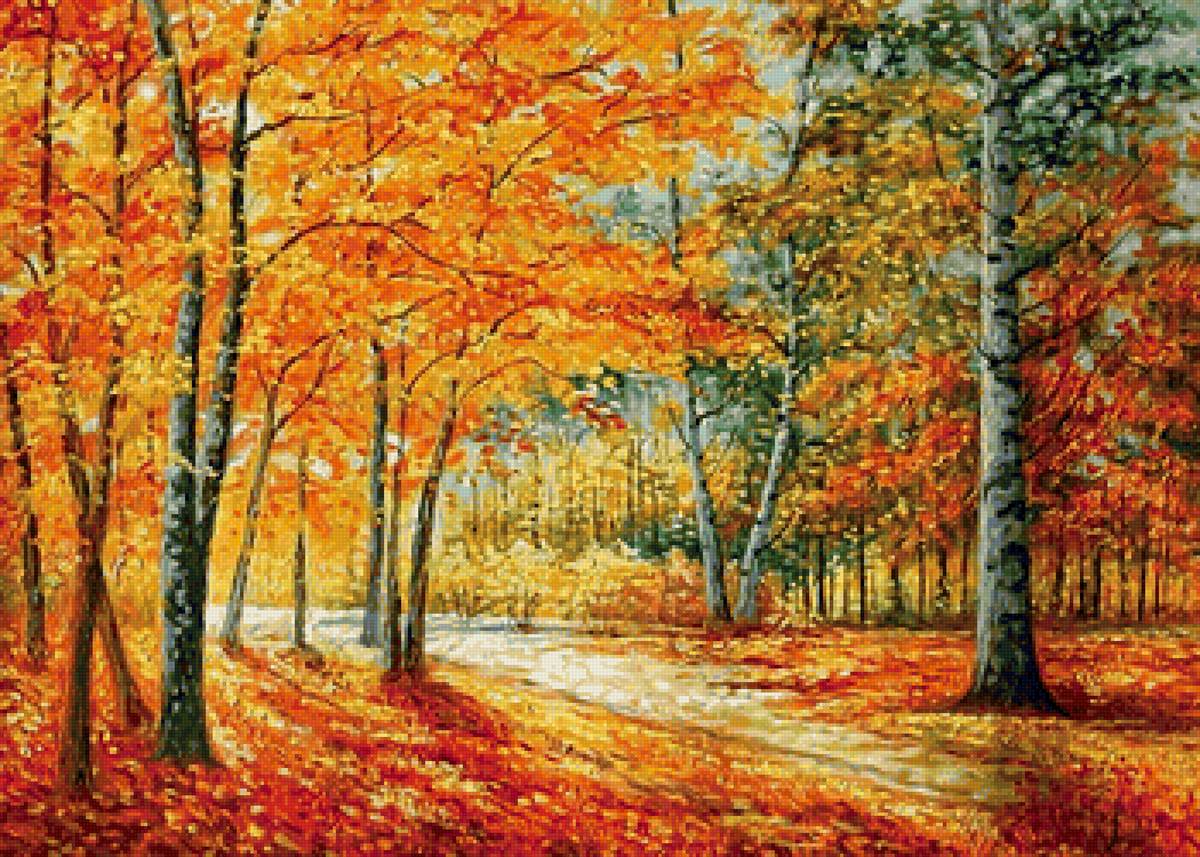 Краски осени - пейзаж, осень, березы - предпросмотр