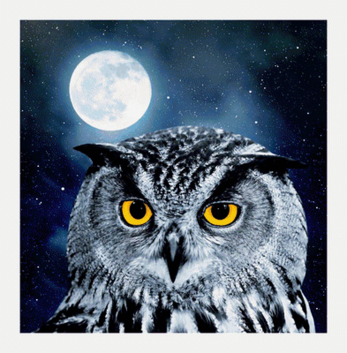 №2069294 - животные, птицы, совы - предпросмотр