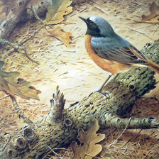 Птичка синяя