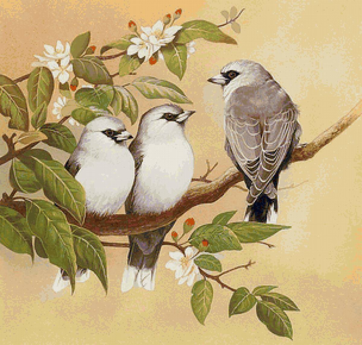 Птички на ветке - птицы, цветущая ветка - предпросмотр