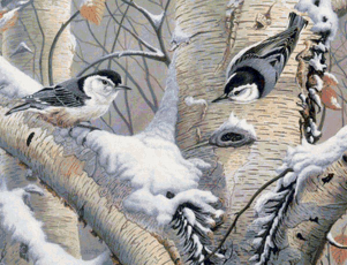 Поползни на березе - зима, птицы, поползни - предпросмотр