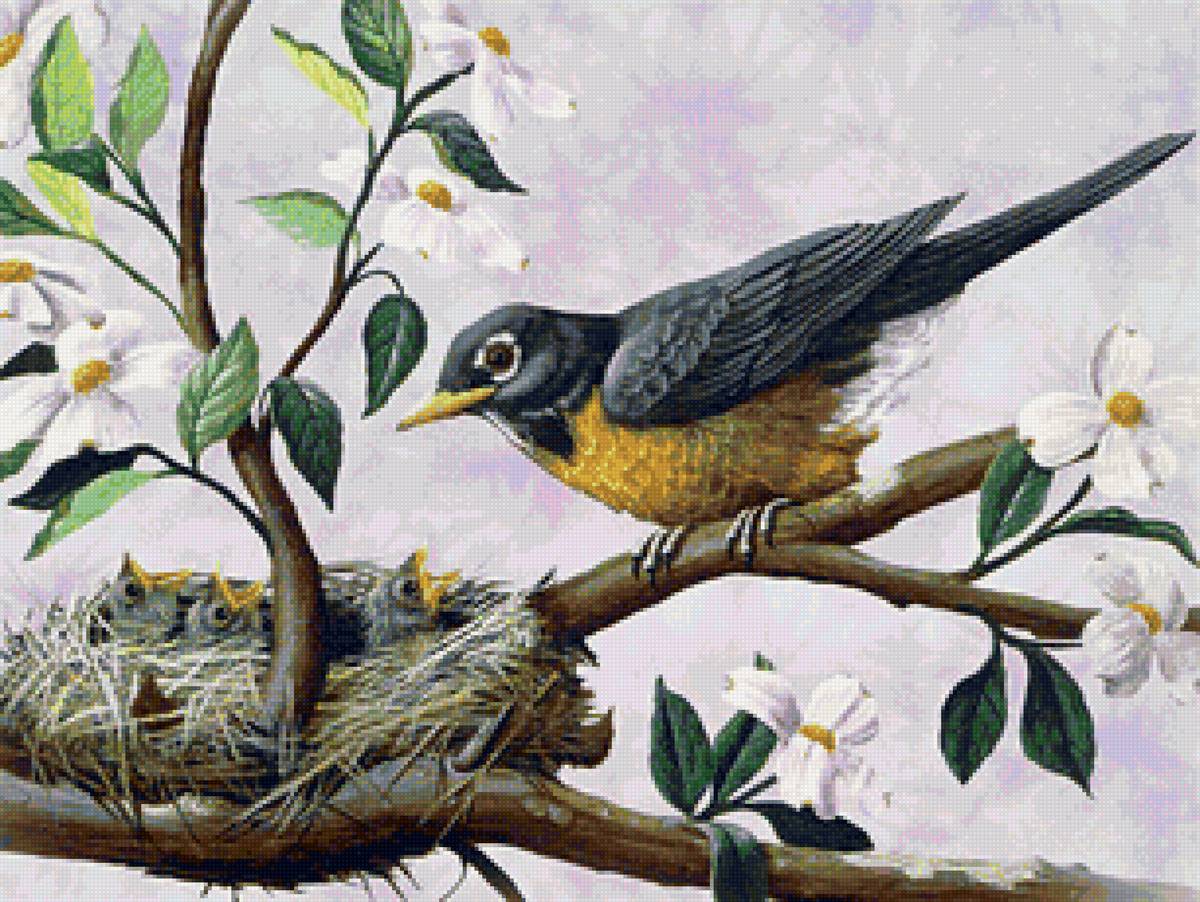 Пташка у гнезда - цветущая ветка, весна, гнездо, птицы, птенцы - предпросмотр