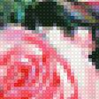Предпросмотр схемы вышивки «розы» (№2069637)