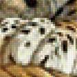 Предпросмотр схемы вышивки «леопард» (№2069770)