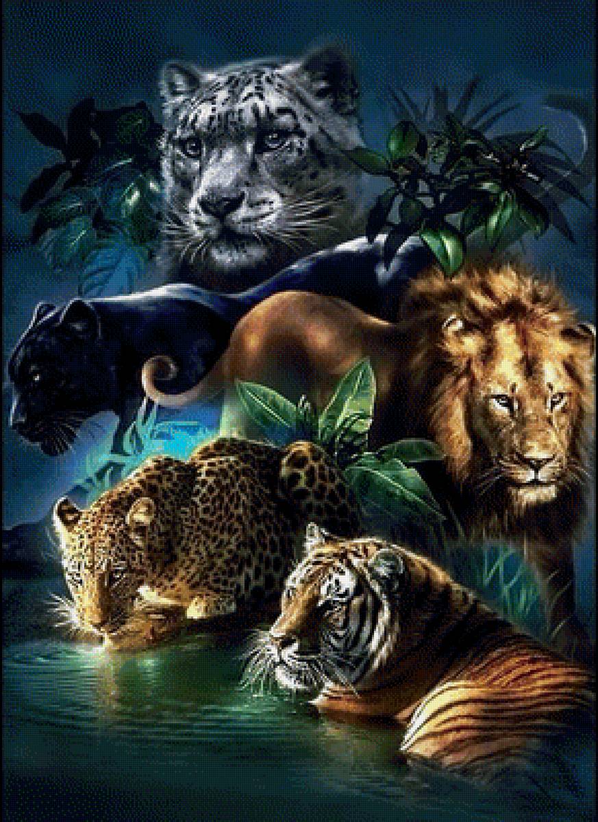 дикие кошки - тигр, лев.пантера - предпросмотр