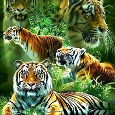 Оригинал схемы вышивки «тигры» (№2069790)