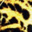 Предпросмотр схемы вышивки «леопард» (№2069791)