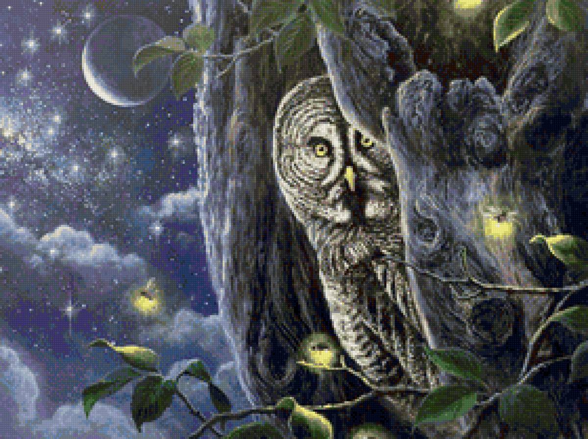 Сова и светлячки - ночь, птицы, сова, сыч - предпросмотр