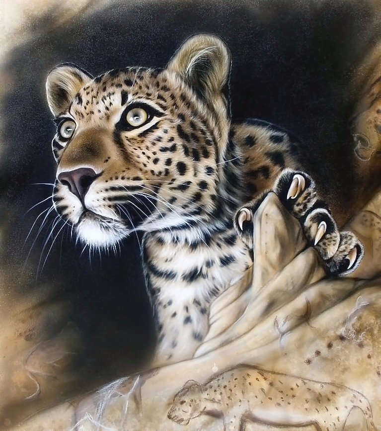 мир животных - мир животных - оригинал