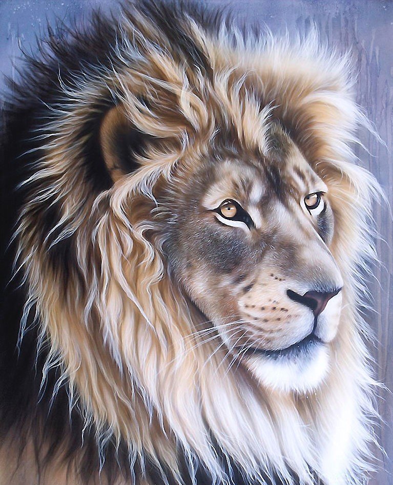 лев - мир животных - оригинал